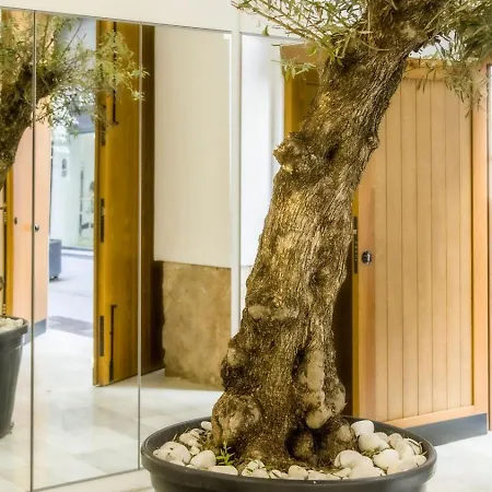 Catalina Downtown מלון דירות 4*